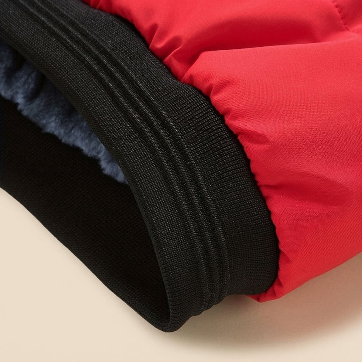 Dominik | Steppjacke für Herren – Gefütterte Winterjacke mit Stehkragen